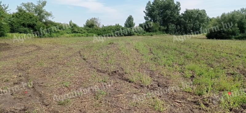 Debrecen mellett 8764m2 földterület eladó