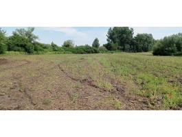 Debrecen mellett 8764m2 földterület eladó