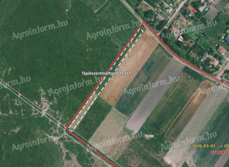 Tápiószentmárton termőföld eladó