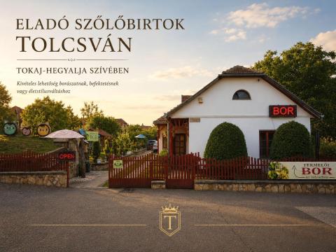 Üzlet és életstílus Tokaj-Hegyalja szívében – működő szőlőbirtok és családi borászat eladó Tolcsván