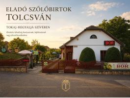 Üzlet és életstílus Tokaj-Hegyalja szívében – működő szőlőbirtok és családi borászat eladó Tolcsván