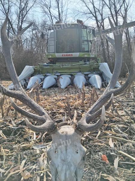 Claas Conspeed 6-75 FC