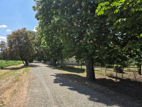 14.000 m2 Telek/ingatlan Nagyon szép helyen