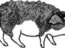 Mangalica zsír és töpörtyű frissen sütve