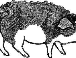 Mangalica zsír és töpörtyű frissen sütve