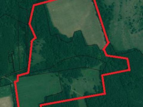 35,7 hektár (357300m²) legelő, szántó, erdő, fásított terület Tapolcától 20km-re észak-keletre Taliándörögdön eladó 35,7 hektár (357300m²) legelő, szántó, erdő, fásított terület Tapolcától 20km-re észak-keletre Taliándörögdön eladó
