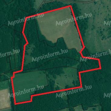 35,7 hektár (357300m²) legelő,  szántó,  erdő,  fásított terület Tapolcától 20km-re észak-keletre Taliándörögdön eladó