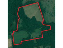 35,7 hektár (357300m²) legelő,  szántó,  erdő,  fásított terület Tapolcától 20km-re észak-keletre Taliándörögdön eladó