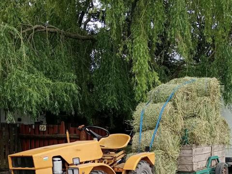 Lucerna kis körbála kapható