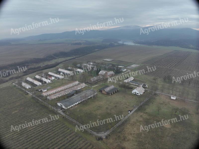 Eladó 7 hektáros sertéstelep