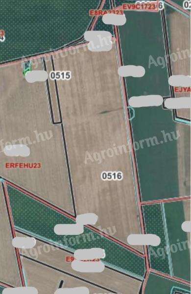 Szántó eladó Sarkadon hrsz: 0515, 0516