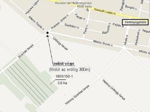 Kecskemét Hetényegyházán eladó 3,6 hektáros erdő Kecskemét Hetényegyházán eladó 3,6 hektáros erdő
