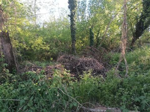 Eladó Budapest 17. kerületében, osztatlan közös tulajdonú erdő - rét magánszemélytől Eladó Budapest 17. kerületében, osztatlan közös tulajdonú erdő - rét magánszemélytől