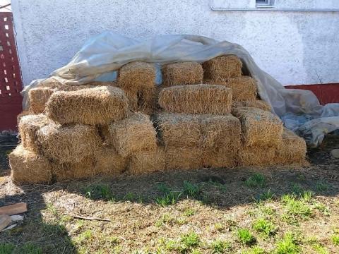Kis kocka lucerna bála 2025-ös
