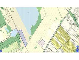 Kiskőrös 0399/3 - 3,87 ha nádas és legelő a Csukás-tó mellett