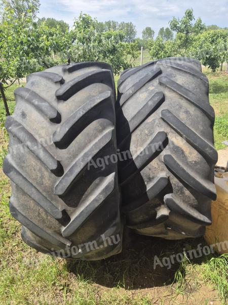 Abrocs