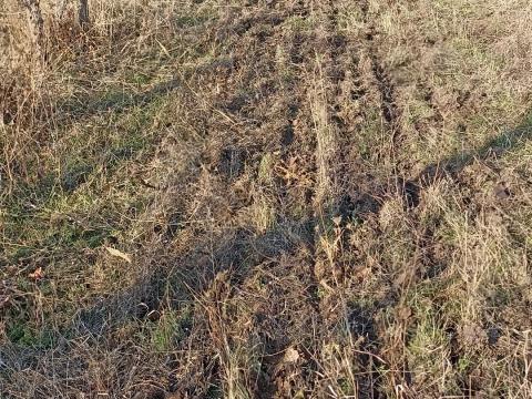 Gyöngyöspata Paskomban földterület eladó Gyöngyöspata Paskomban földterület eladó