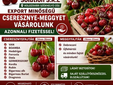 Cseresznye-meggy felvásárlás Cseresznye-meggy felvásárlás