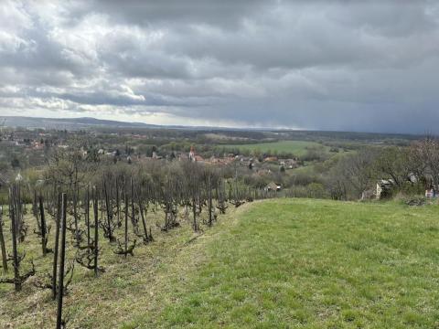 Ajka Szőlőhegy – Zártkert gazdasági épülettel
