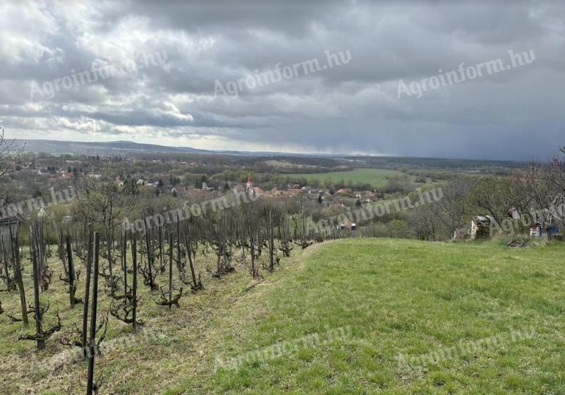Ajka Szőlőhegy – Zártkert gazdasági épülettel