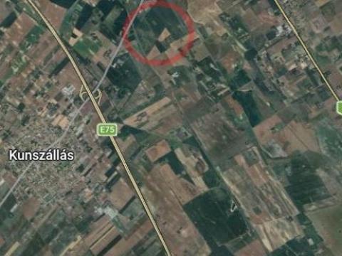 4,6 ha (730 m³) akác fatömeg eladó 4,6 ha (730 m³) akác fatömeg eladó