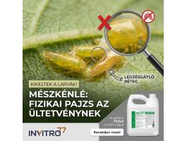 Tiosol mészkénlé – A kötelező kabóca-védekezés leghatékonyabb támogatója