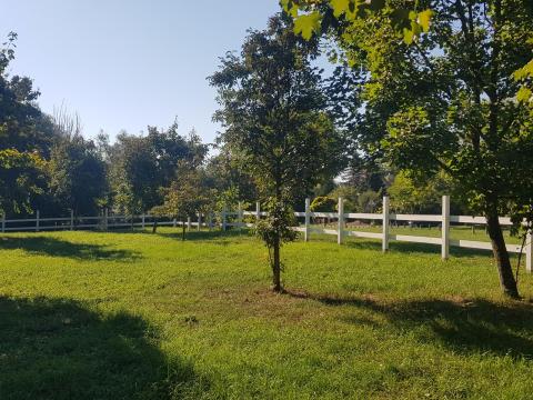 1880 m2 belterületi telek kiváló helyen 1880 m2 belterületi telek kiváló helyen