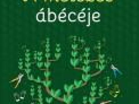 A metszés ábécéje
