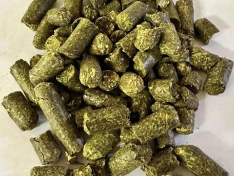 Lucerna pellet kamionos tételben szállítva eladó Lucerna pellet kamionos tételben szállítva eladó