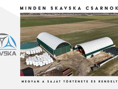 Száraz szénabálák a szarvasmarhák közelében