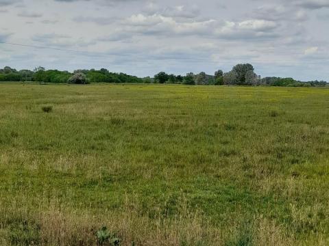 18,9 ha tanya szántóval, legelővel, patak mellett eladó