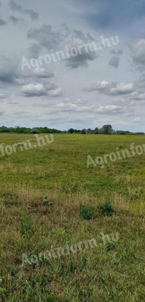 18,9 ha tanya szántóval, legelővel, patak mellett eladó
