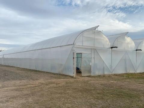 1800 m2 területű, blokkrendszerű növényház áron alul sürgősen eladó