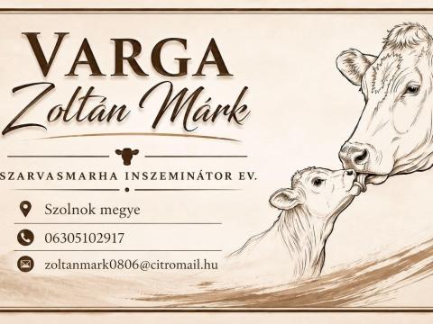 Inszeminátor