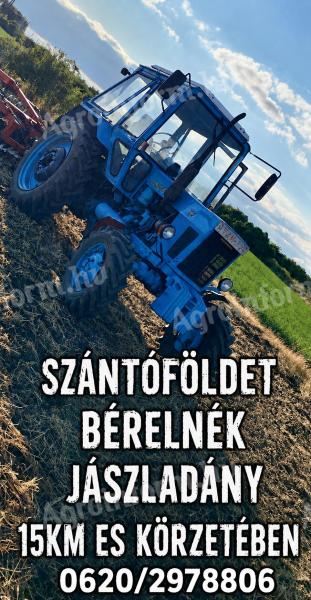 Szántóföldet bérelnék