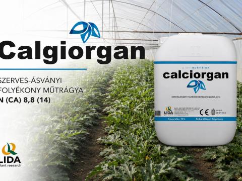 Calciorgan kalcium műtrágya 10l