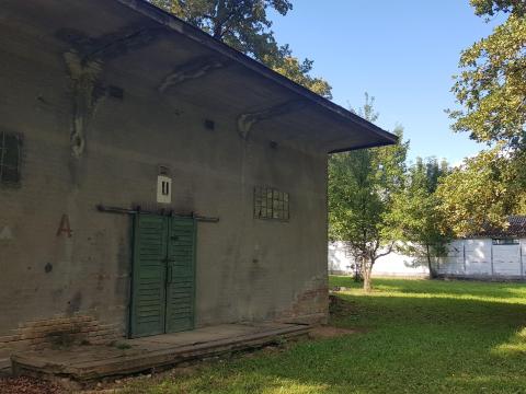 Építési telek 50-100 éves tölgyfás 80.000 m2