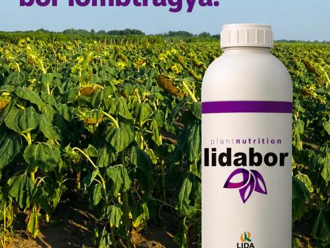 Lidabor aminosavas bór lombtrágya 5l Lidabor aminosavas bór lombtrágya 5l