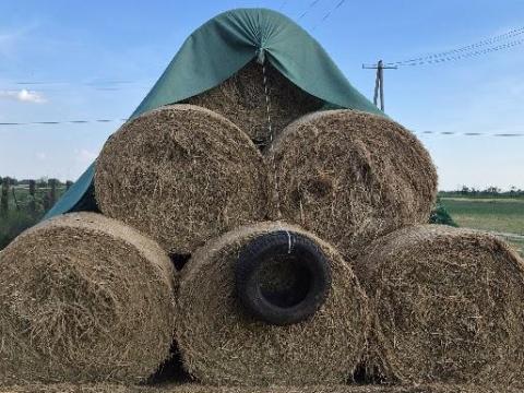 Széna körbála eladó Széna körbála eladó
