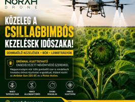 Napraforgó csillagbimbós kezelés drónnal – itt az idő felkészülni