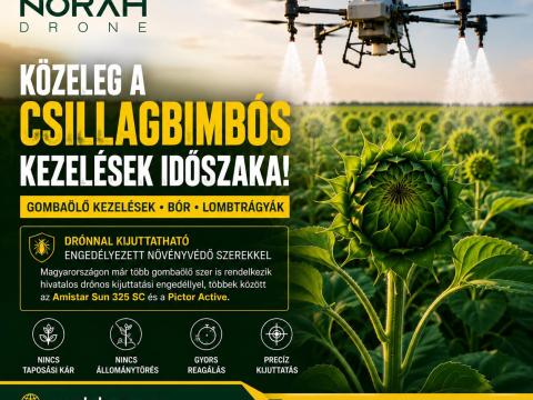 Napraforgó csillagbimbós kezelés drónnal – itt az idő felkészülni Napraforgó csillagbimbós kezelés drónnal – itt az idő felkészülni