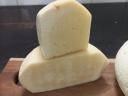 Trappista
