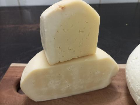 Trappista