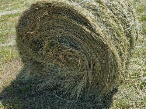 Széna, körbála, Hesston bála