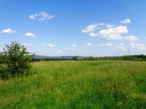 Vác Felső török hegyen 48 114 m²-es mezőgazdasági terület eladó Vác Felső török hegyen 48 114 m²-es mezőgazdasági terület eladó