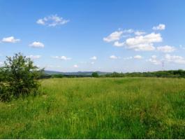 Vác Felső török hegyen 48 114 m²-es mezőgazdasági terület eladó