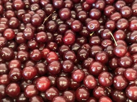 Rázott meggyet keresek cefrének Rázott meggyet keresek cefrének