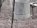 Elado beépíthető telek