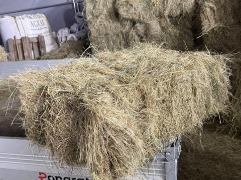 Réti fűszéna kockabála eladó Réti fűszéna kockabála eladó