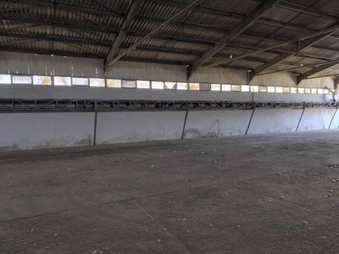 Szállítószalag / futószalag / 60m Szállítószalag / futószalag / 60m